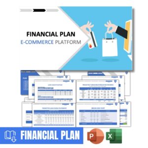 E-Commerce Platform Financial Plan