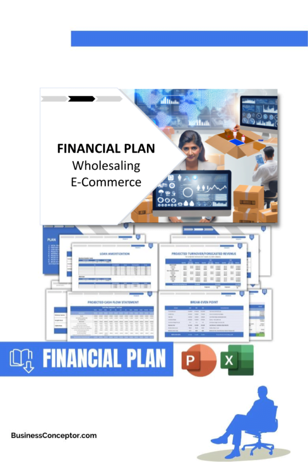 FINANCIAL PLAN - Wholesaling E-Commerce