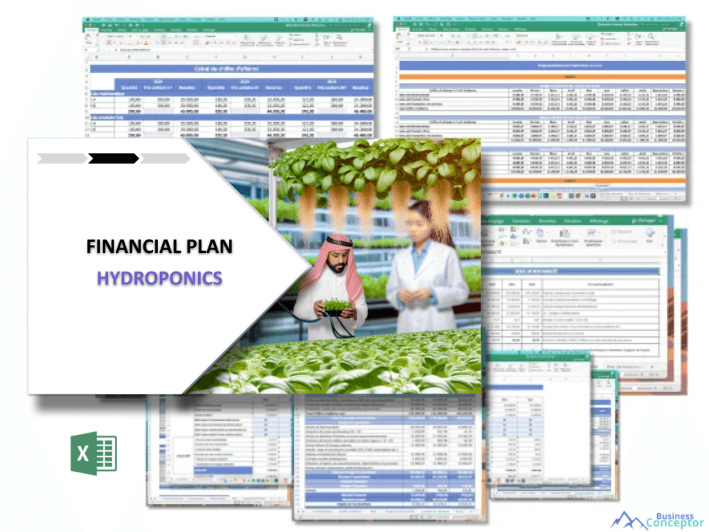 Cover Financial plan for Hydroponics