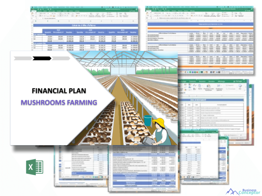 Cover Financial plan for Mushrooms Farming