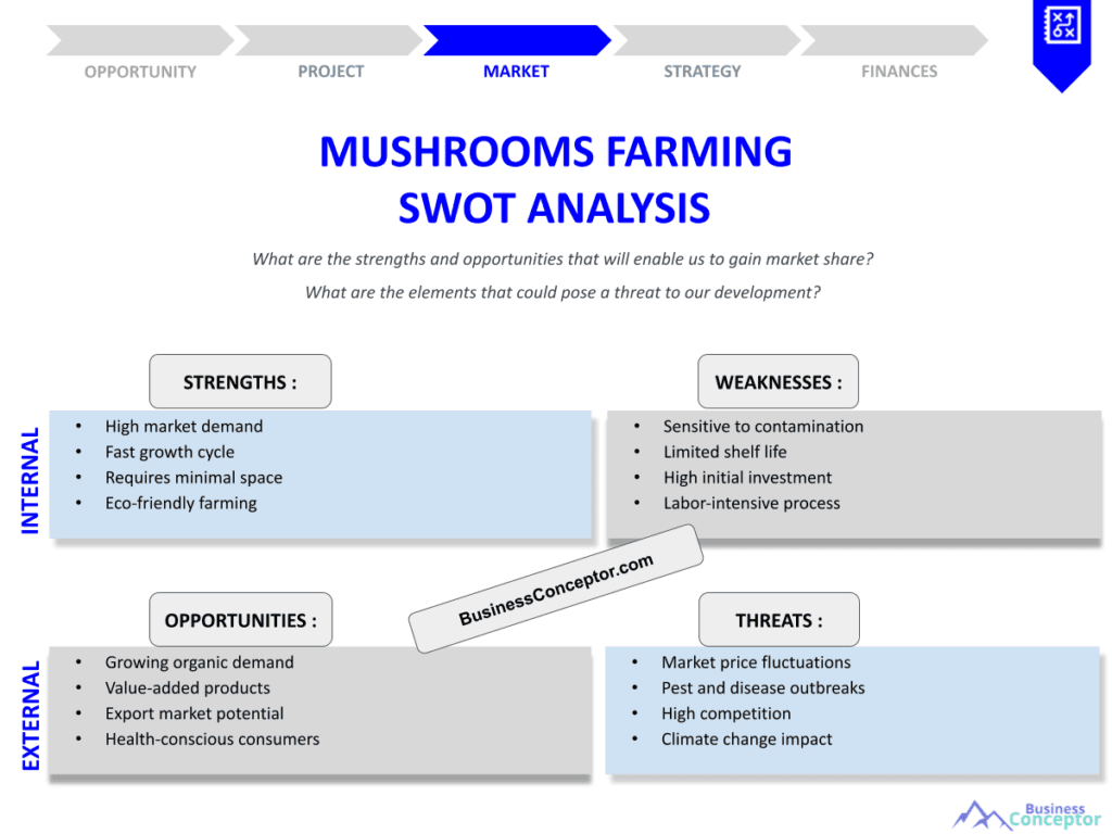 MUSHROOMS FARMING